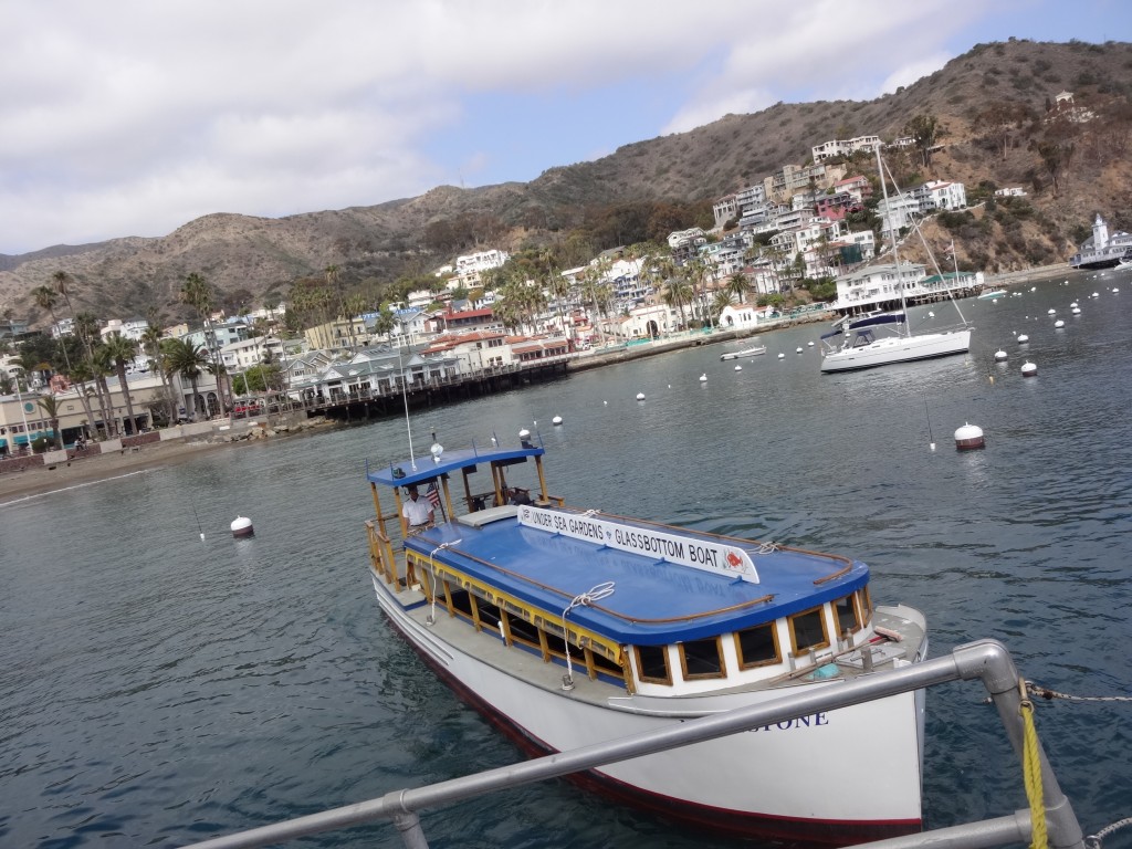 DSC07450グラスボトムツアー