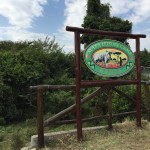 ケニヤのマサイマラ国立保護区にあるMara Leisure Campに宿泊しました。